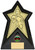 Gold Star Force Boxing Trophy Award 200mm