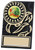 Rosette economy plaque for multi sport or activity with FREE engraving
