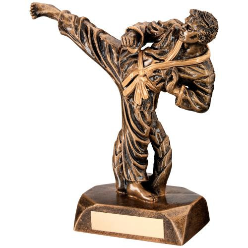 Fabulous detailed male Karate Martial Arts Award includes FREE engraving.