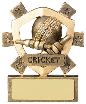 Star Cricket Trophy - personalised award from 1st Place 4 Trophies
