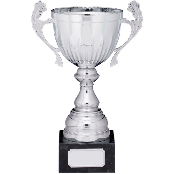Silver presentation cup in 5 sizes with FREE engraving