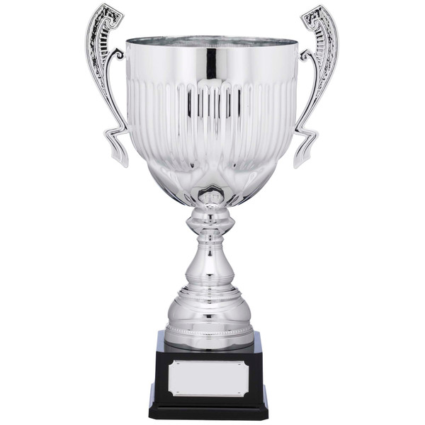 Silver presentation cup in 4 sizes & FREE engraving