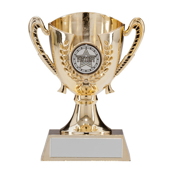 SERENITY Gold Cup Plastic Award - personalised award from 1st Place 4 Trophies