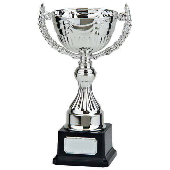 ENDEAVOUR Silver Cup Trophy Series