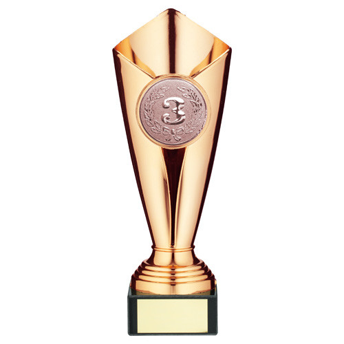 3rd Place Bronze Trophy Cup Winners Award Personalised Engraving
