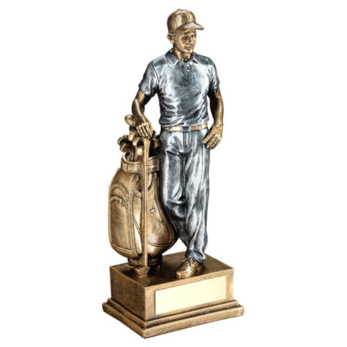 Male Golfer And Bag 10" Award Personalised Engraving