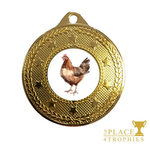Chicken Medal Award School Literacy English Little Red Hen Story Prize