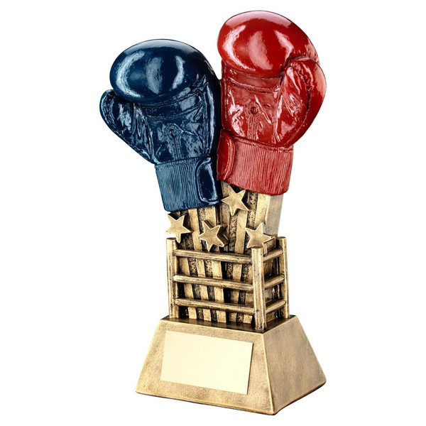 Boxing Award with FREE engraving at 1stPlace4Trophies