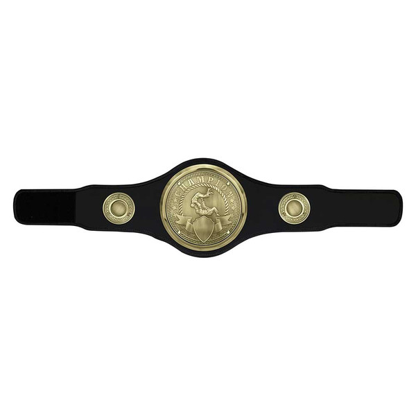 Champion Belt Judo/Jujitsu Award