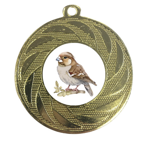 Big Garden Birdwatch Sparrow Medal Wingspan Game Medal Nature Lovers Personalised Birdwatching Birding Twitching Award RSPB 