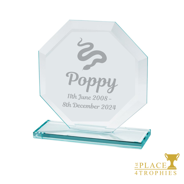 Custom Pet Memorial Personalised Sympathy Gift Laser Engraving at 1st Place 4 Trophies