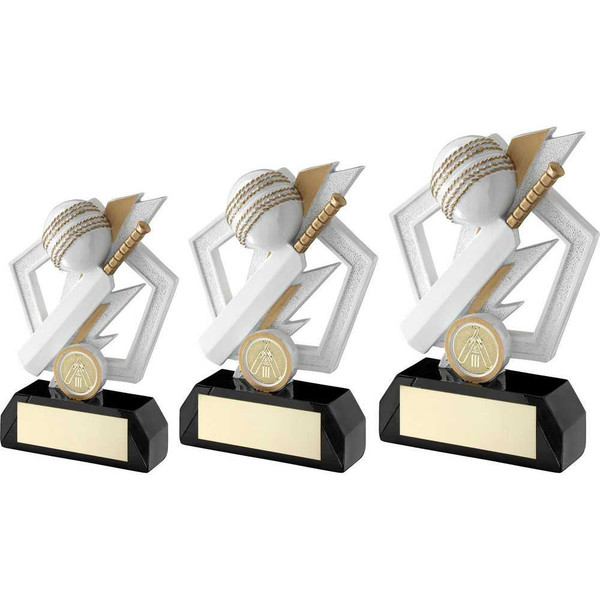 Personalised Cricket Award. Available in 3 sizes with personalised engraving