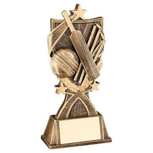 Cricket Award With Personalised Engraving at 1st Place 4 Trophies