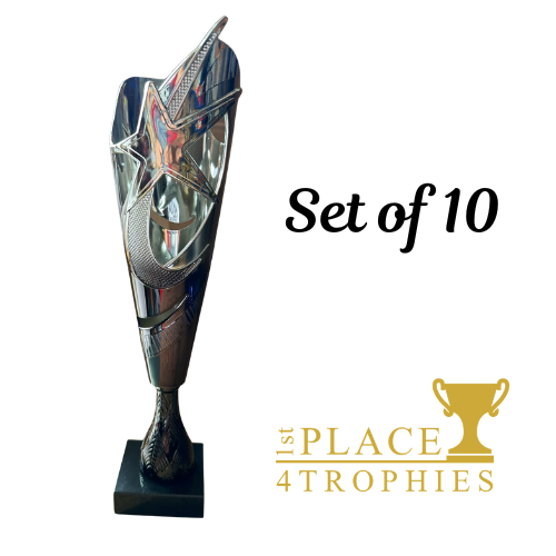 Saka Silver & Black Award Set of 10 Trophies 13"
