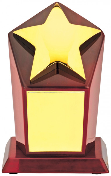 Nickel Gold Star Award 150mm Free Personalised Engraving
