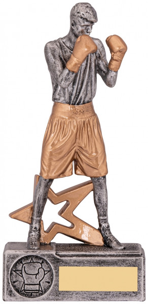 Gold Boxing Award Male Figure Trophy Personalised Engraving at 1st Place 4 Trophies
