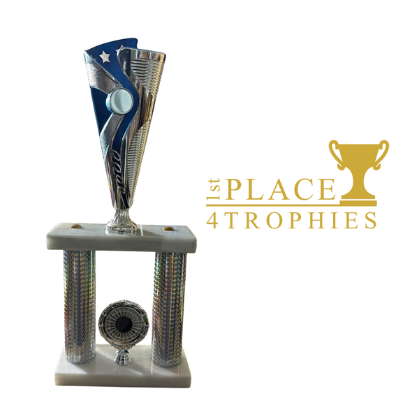 Two Tier Silver & Blue Award