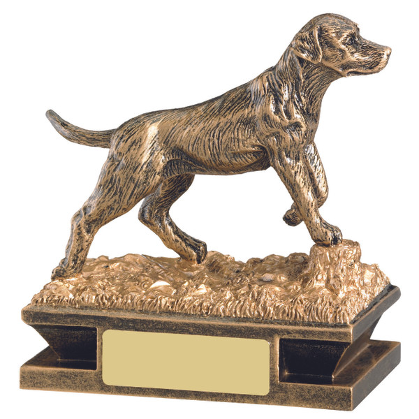 Stunning gold dog award. Gun dog. Dog Obedience, Agility, show. 1stPlace4Trophies with FREE engraving