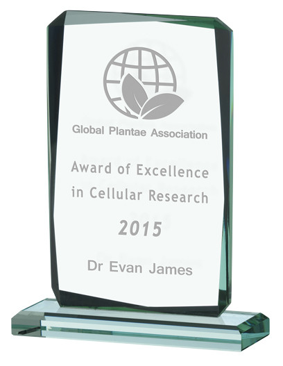 Block Award - personalised award from 1st Place 4 Trophies