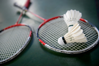 2015 Badminton World Cup - 5 Facts you may not have known.
