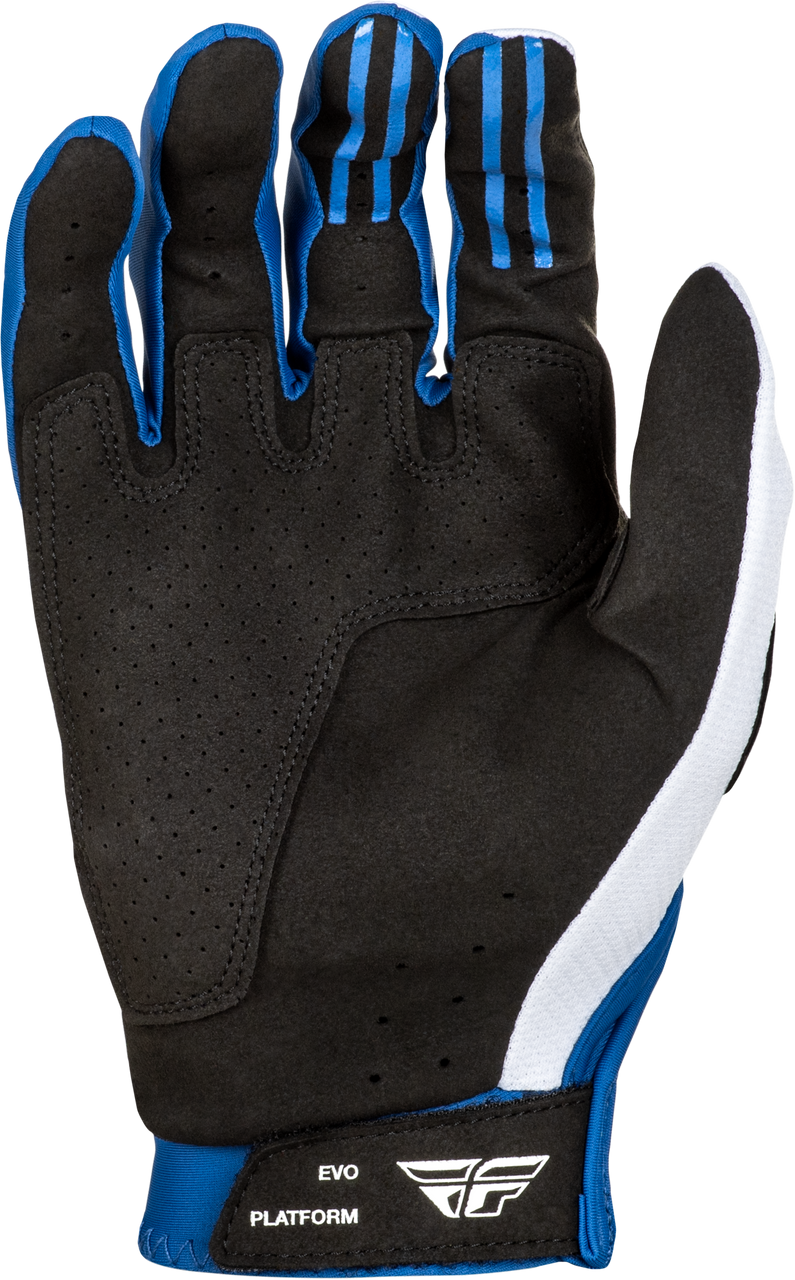 Evolution DST Gloves (2025)