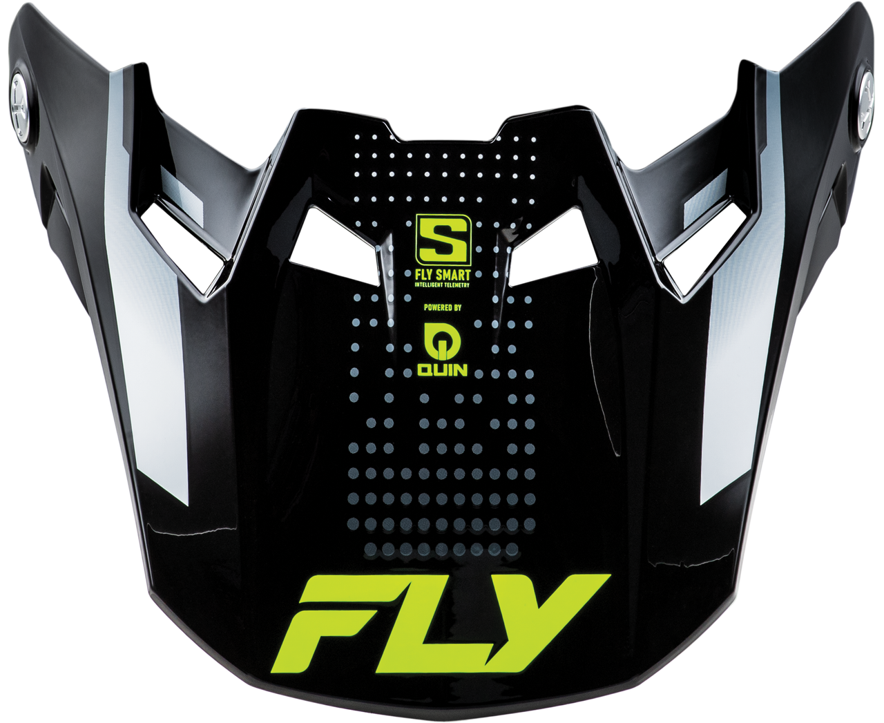Formula S Visor