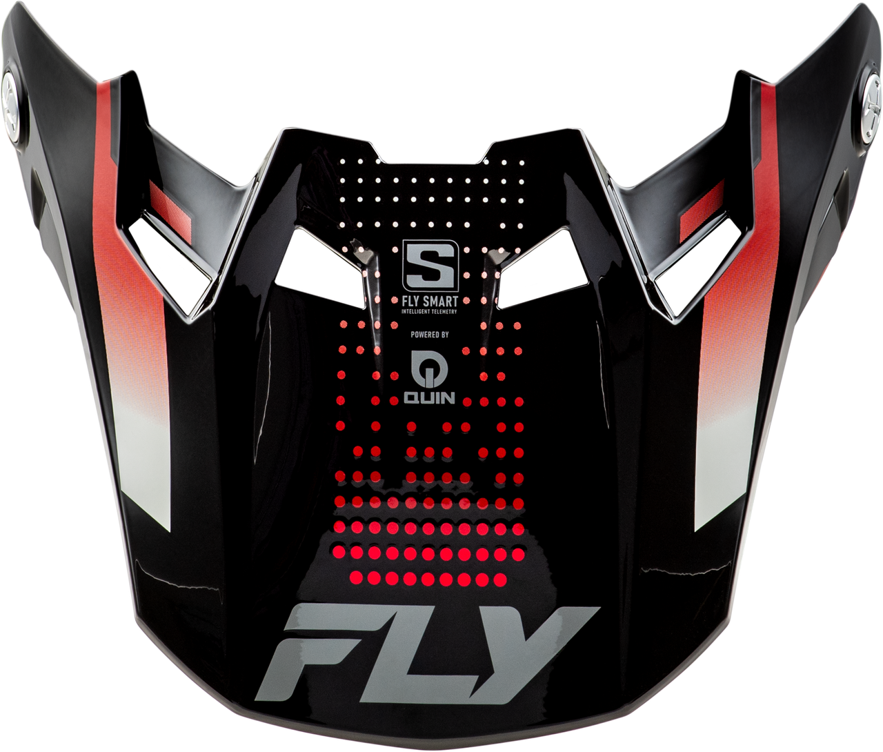 Formula S Visor