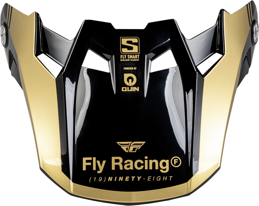FLY RACING FORMULA S CARBON LEGACY VISOR BLACK/GOLD YL/SM