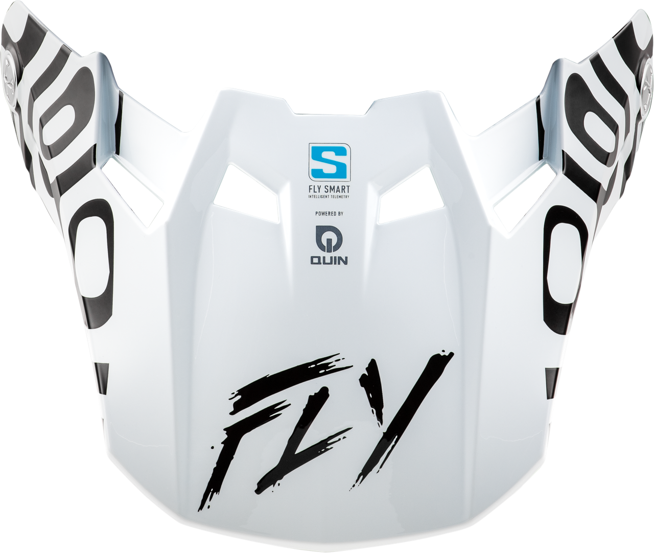 Formula S Visor