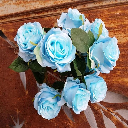 Antique Rose Bush Blue Antique Rose Bush Blue