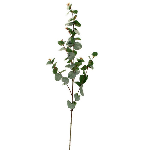 Large Eucalyptus Spray Dark Green Large Eucalyptus Spray Dark Green