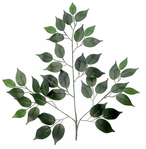 50cm Green Ficus Branch 50cm Green Ficus Branch