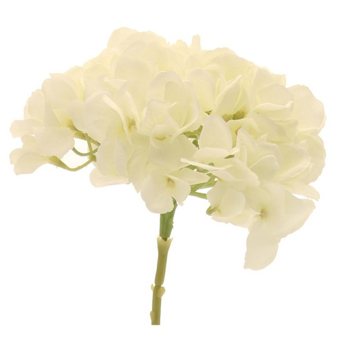 Short Stem Single Hydrangea Cream Short Stem Single Hydrangea Cream