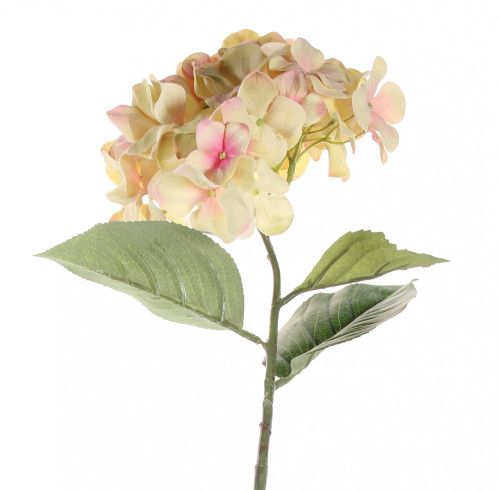 68cm Single Large Hydrangea Cream Blush 68cm Single Large Hydrangea Cream Blush