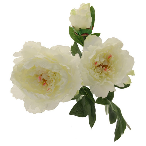 Three Peony  Cream 82cm Three Peony  Cream 82cm