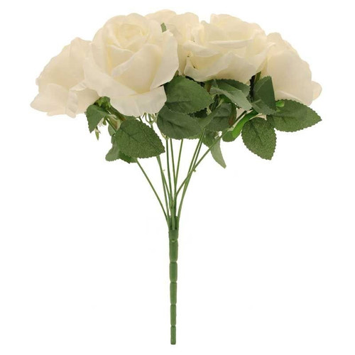 Rose Bush Cream Rose Bush Cream