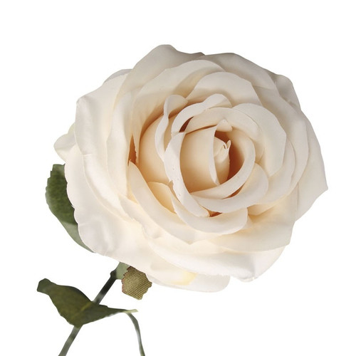 Vintage Rose Cream 