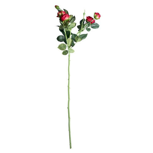 Camelot Garden Rose Spray Scarlet Red Camelot Garden Rose Spray Scarlet Red