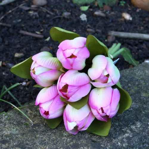Tulip Bunch Fuschia Tulip Bunch Fuschia