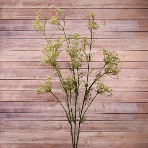 Large Queen Ann Lace Large Queen Ann Lace