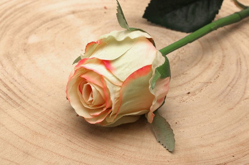 Small Rose Bud Blush Pink Small Rose Bud Blush Pink