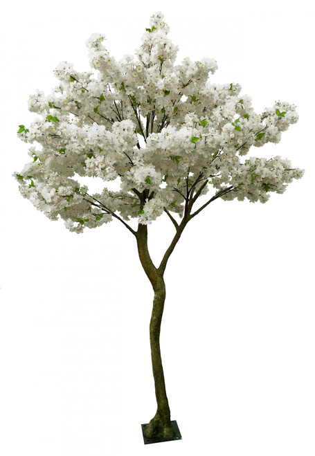 Cream Blossom Tree (2.7m) Cream Blossom Tree (2.7m)