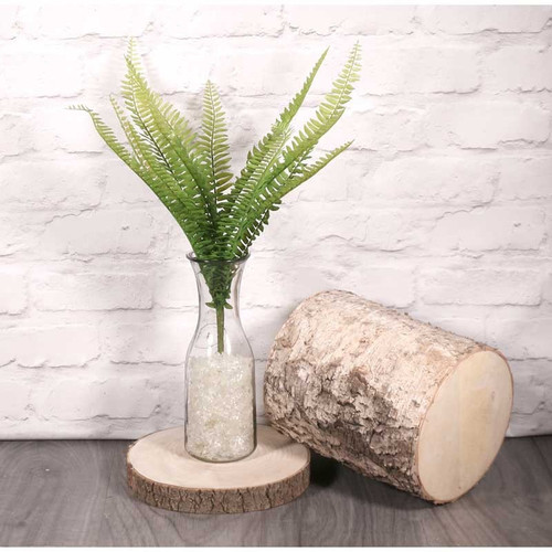 Boston Fern 48cm Boston Fern 48cm