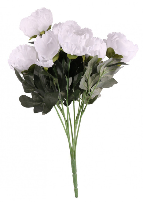 White King Peony Bunch White King Peony Bunch