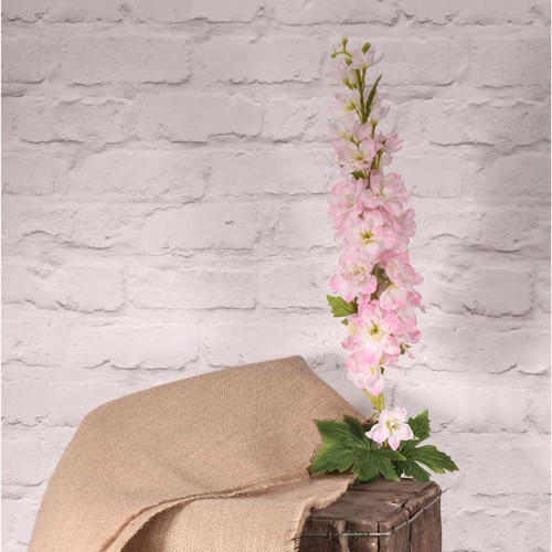 Cottage Garden Delphinium Pink Cottage Garden Delphinium Pink