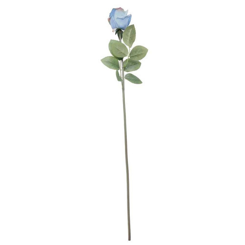 Arundel Rose Bud Blue