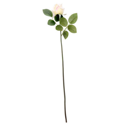 Arundel Rose Bud Ivory