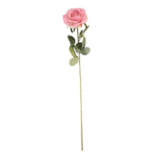 Arundel Open Rose Dusky Pink Arundel Open Rose Dusky Pink