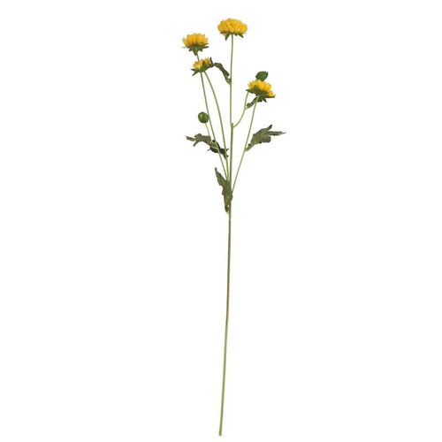 Buckingham Spray Chrysanthemum Yellow Buckingham Spray Chrysanthemum Yellow