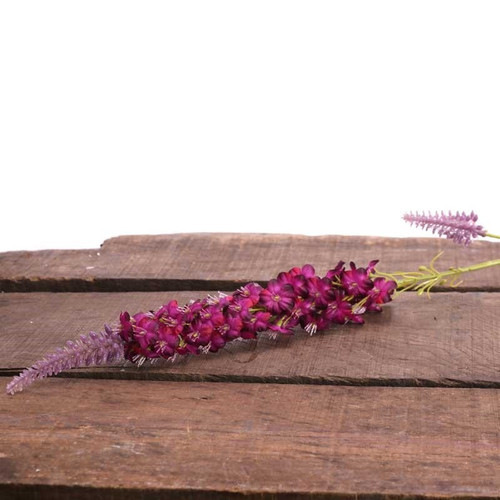 Veronica Spray Lavender Veronica Spray Lavender